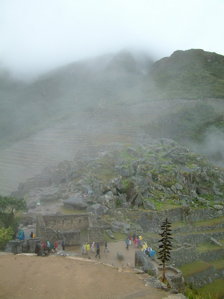 25-Machu Picchu.jpg - Machu Picchu